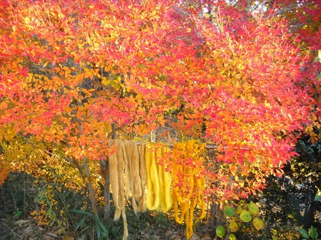 DSCN6579.JPG